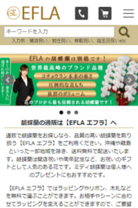 皇室献上品など世界最高峰のブランド胡蝶蘭が最安値「EFLA」